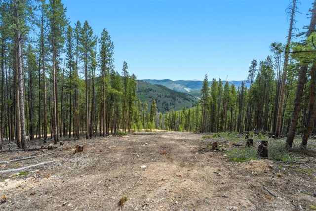 653 Summit Gulch Road photo 7