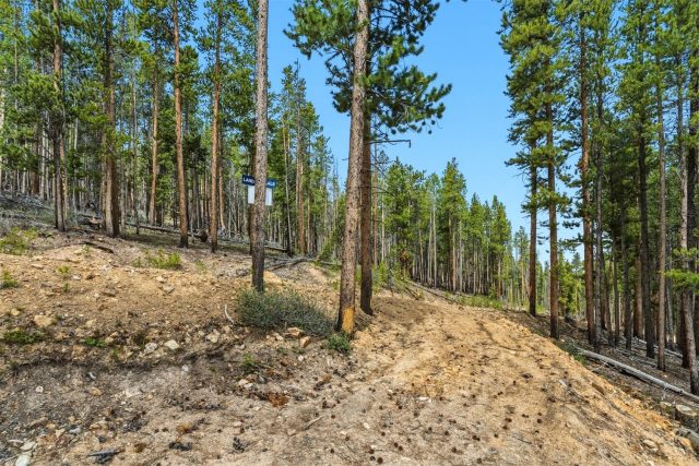 653 Summit Gulch Road photo 9