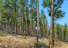 653 Summit Gulch Road photo 9