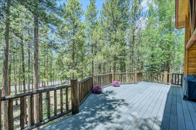 99 Primrose Lane photo 32