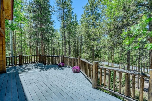 99 Primrose Lane photo 33