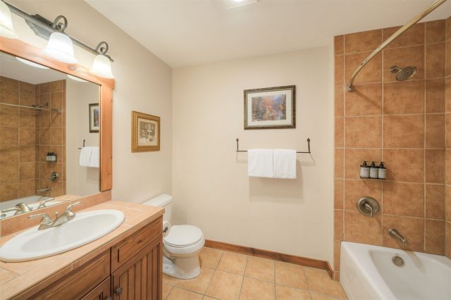 50 Mountain Thunder Drive 1102 photo 12