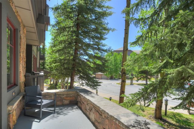 50 Mountain Thunder Drive 1102 photo 13