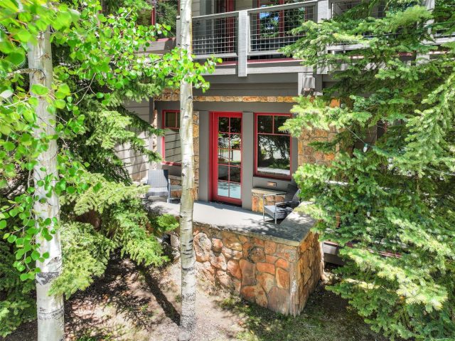50 Mountain Thunder Drive 1102 photo 15