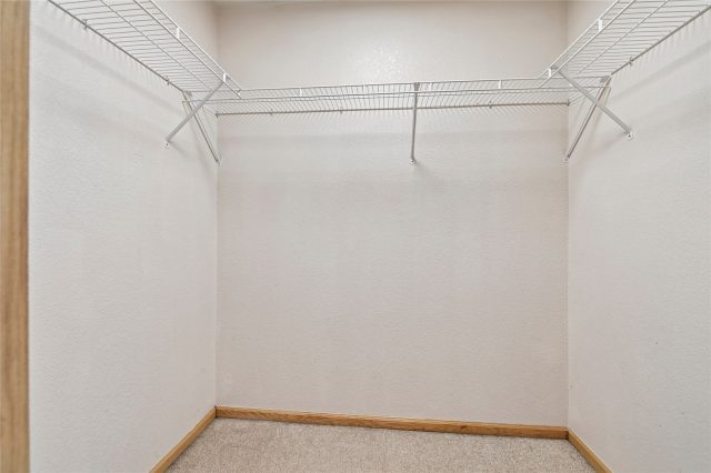 171 Buffalo Drive photo 28