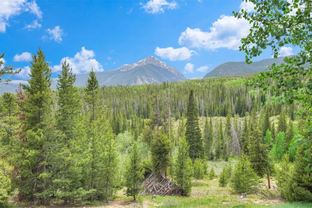 9460 Ryan Gulch Road 61 photo 23