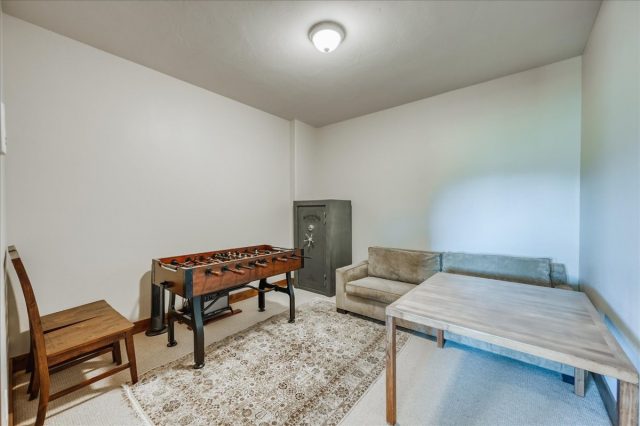 1043 Alpensee Drive photo 36