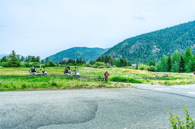 96 Elk Crossing Lane photo 11
