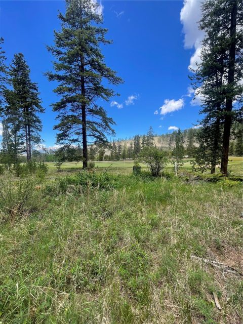 96 Elk Crossing Lane photo 2
