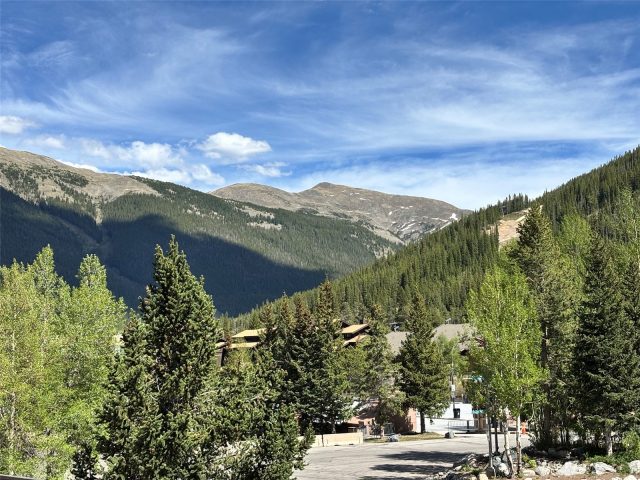 Timeshare in Village Square Condo, Copper Mountain, CO (MLS S1069619)