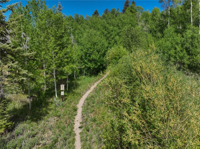 120 Bull Lake Court photo 8