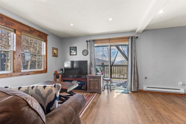 Condo in Now Colorado At Wld Cnd Aspen Shadow, Silverthorne, CO — photo 2 (MLS S1069674)