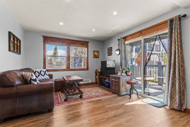 Condo in Now Colorado At Wld Cnd Aspen Shadow, Silverthorne, CO — photo 3 (MLS S1069674)