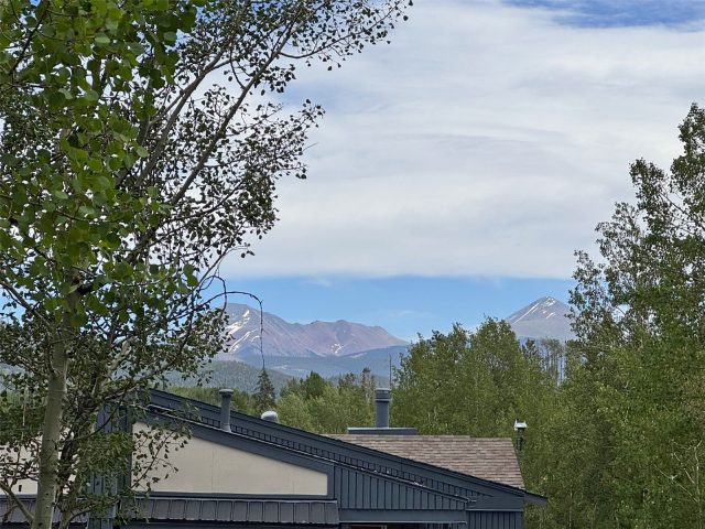 8010 Ryan Gulch Road B1 photo 8