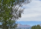 8010 Ryan Gulch Road B1 photo 8