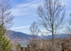 8010 Ryan Gulch Road B1 photo 9