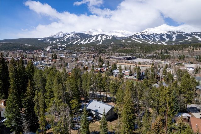 Home in Weisshorn Sub, Breckenridge, CO (MLS S1069686)