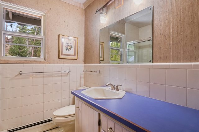 212 Briar Rose Lane photo 21