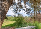 390 Straight Creek Drive 311 photo 28