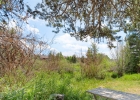390 Straight Creek Drive 311 photo 29