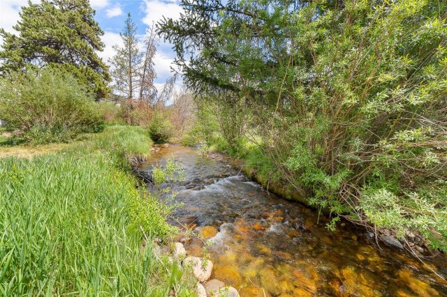 390 Straight Creek Drive 311 photo 30