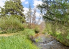 390 Straight Creek Drive 311 photo 30