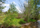 390 Straight Creek Drive 311 photo 31