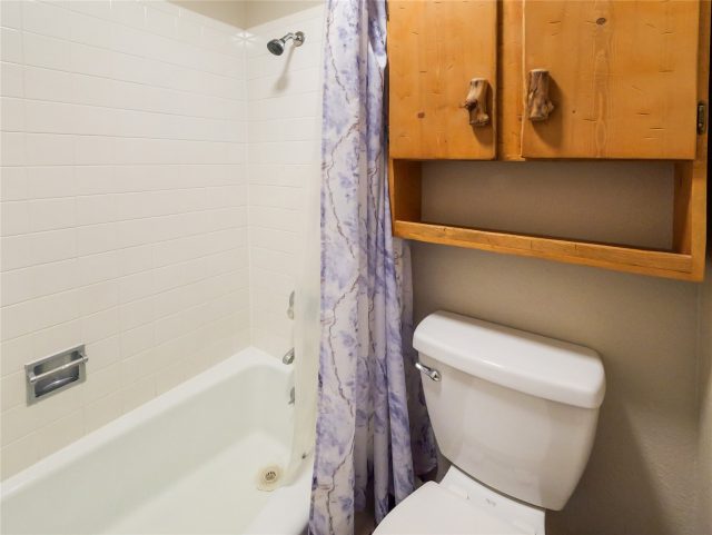 1003 Straight Creek Drive 204 photo 16