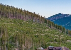 166 Golden Age Drive photo 42