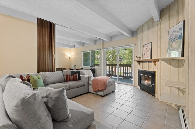 Condo in Ten Mile Creek Condo, Frisco, CO — photo 2 (MLS S1069728)