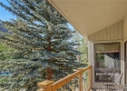 100 Wild Irishman Road 1109 photo 16