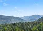 100 Wild Irishman Road 1109 photo 17