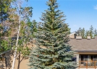 100 Wild Irishman Road 1109 photo 23