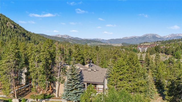 100 Wild Irishman Road 1109 photo 33