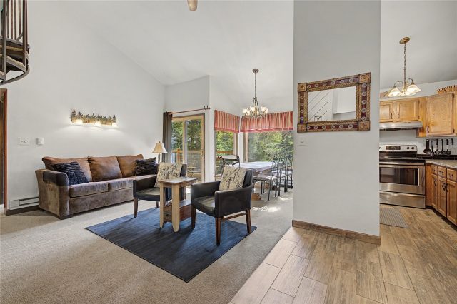 Condo in Flying Dutchman Condo, Keystone, CO — photo 5 (MLS S1069734)