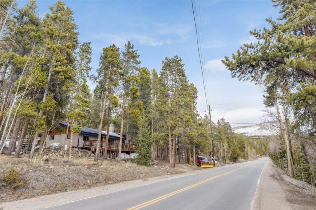 1981 Boreas Pass Road photo 24