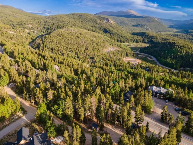 1981 Boreas Pass Road photo 30