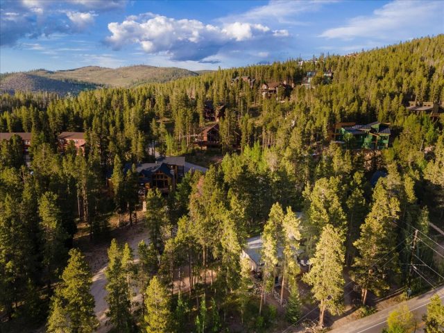 1981 Boreas Pass Road photo 31