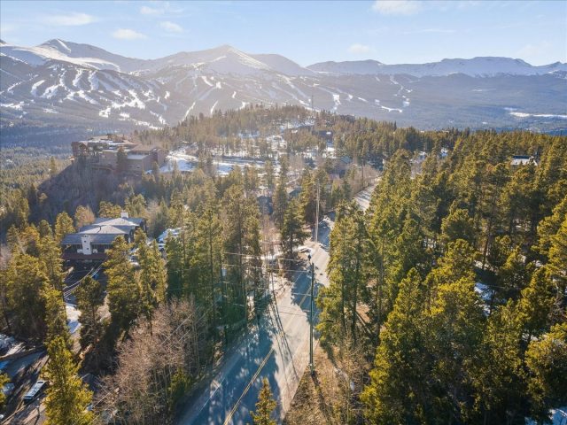 1981 Boreas Pass Road photo 34