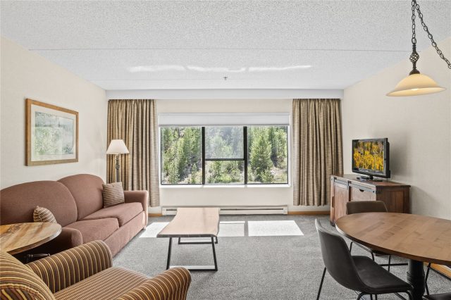 Condo in Beaver Run Condo, Breckenridge, CO (MLS S1069761)