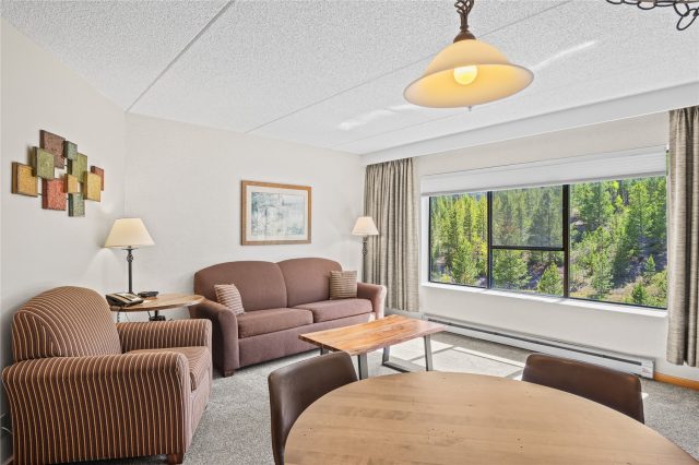 Condo in Beaver Run Condo, Breckenridge, CO — photo 2 (MLS S1069761)