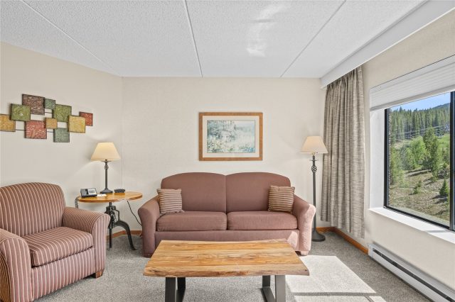 Condo in Beaver Run Condo, Breckenridge, CO — photo 3 (MLS S1069761)