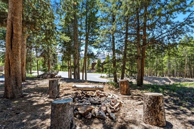 1233 Baldy Road photo 35
