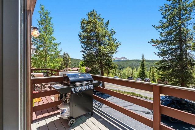 1233 Baldy Road photo 36