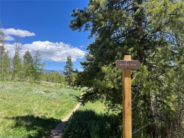 95600 Ryan Gulch Road 95613 photo 35