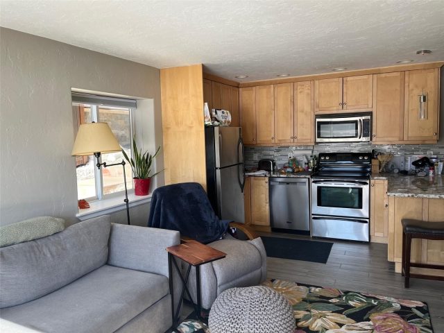 Condo in Yacht Club Condo, Dillon, CO — photo 2 (MLS S1069794)