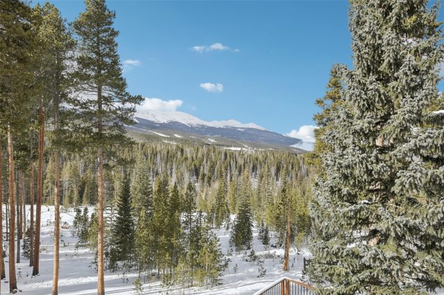 655 White Cloud Drive photo 47