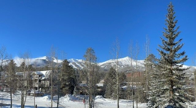 Condo in Corral At Breckenridge, Breckenridge — photo 4 Condo in Corral At Breckenridge, Breckenridge, CO — photo 4 (MLS S1069803)
