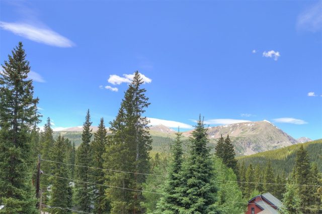 Home in Valley Of The Blue Sub, Breckenridge, CO — photo 3 (MLS S1069811)