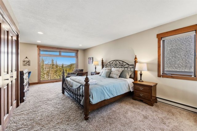 1682 Boreas Pass Road C photo 28